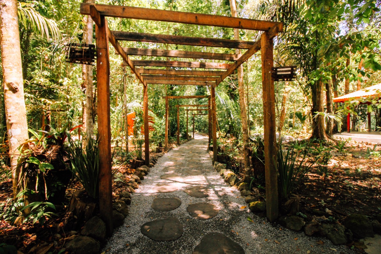 Bioparque Da Amaz Nia Um Ref Gio Da Flora E Fauna Em Macap