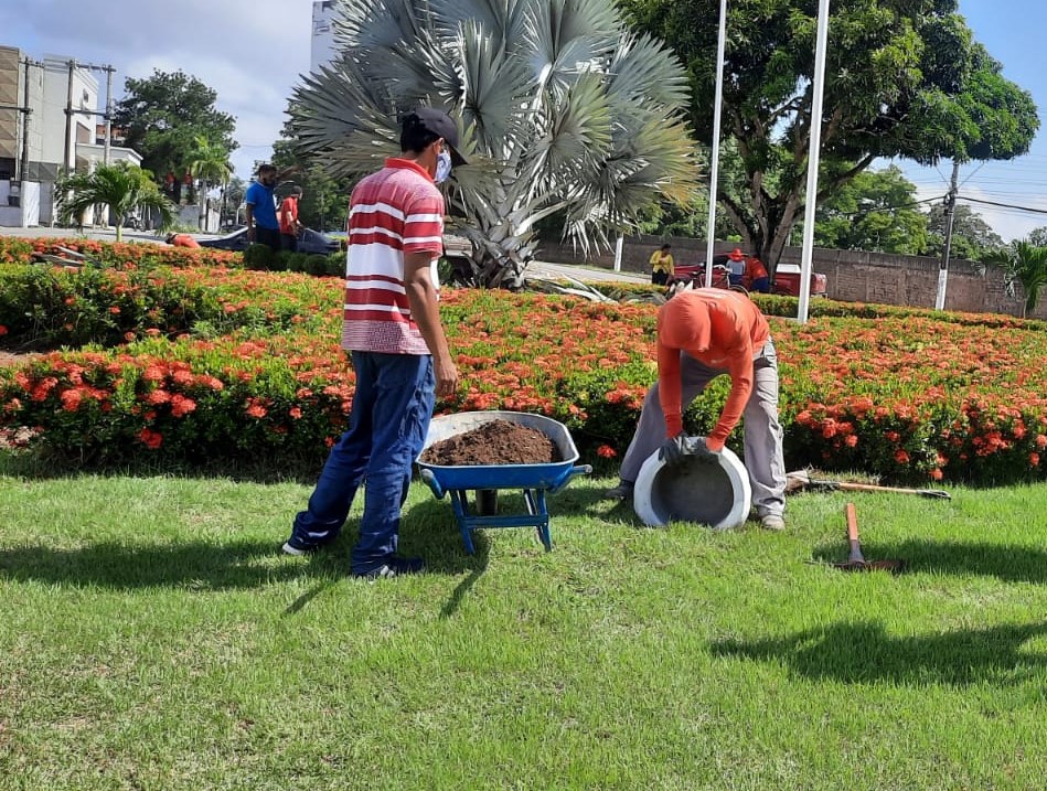 paisagismo araxá