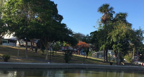 Nova Floriano: Semur poda árvores e praça ganha nova aparência