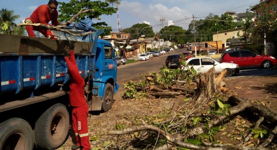 Prefeitura faz recolhimento de árvores que caíram devido às fortes chuvas