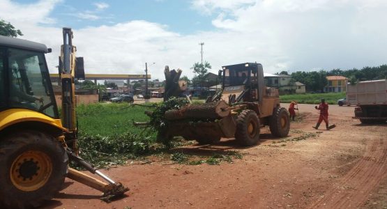 Prefeitura de Macapá remove árvores que caíram devido à forte chuva