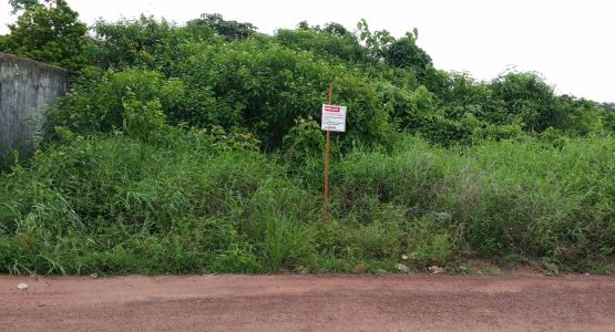 Semduh pede à população que denuncie terrenos abandonados