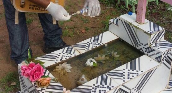 Agentes de endemias fazem inspeções em cemitérios da capital