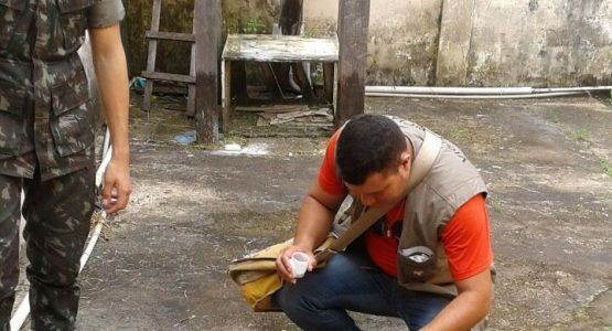 Pacoval e Conjunto Embrapa recebem frentes de trabalho de prevenção ao Aedes