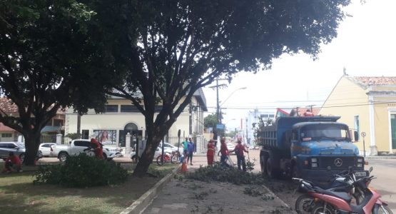 Serviços de poda de árvores são executados na Praça Isaac Zagury