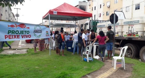 Comercializados 900 quilos de pescado no Residencial São José no fim de semana