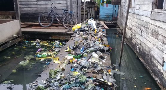 Projeto de cidadania: prefeitura retira cerca de 15 toneladas de lixo da Baixada Pará