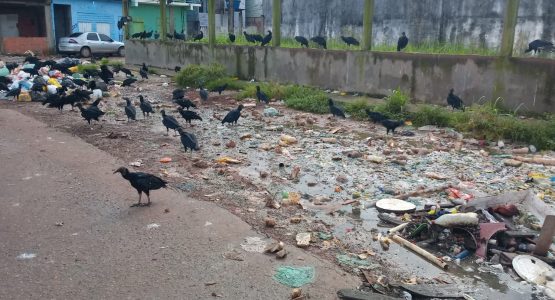 Prefeitura retira 28 toneladas de lixo do bairro Perpétuo Socorro