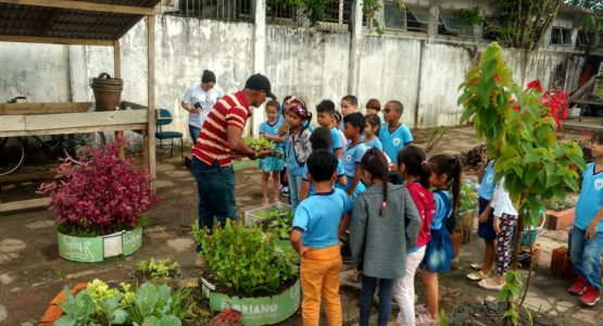 Espaço Sustentabilidade é inaugurado com proposta de trabalhar educação ambiental com crianças