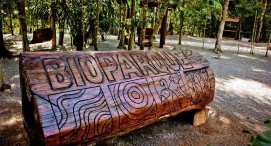 Bioparque da Amazônia abrirá com protocolo de visitação nesta sexta-feira, 24