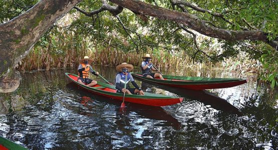 Bioparque da Amazônia passa a fazer parte do roteiro turístico de Macapá