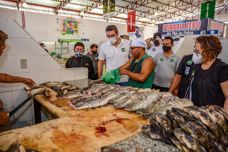 Peixe Tucuju: Vigilância em Saúde e secretariado fiscalizam comércio de ...