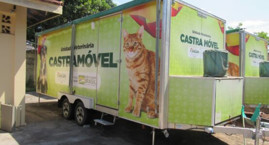 Castramóvel Itinerante da Prefeitura de Macapá segue nos atendimentos aos felinos de ambos os sexos