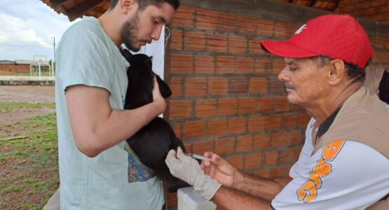 Vacinação Antirrábica: confira os pontos itinerantes de 29 de maio a 2 de junho, em Macapá