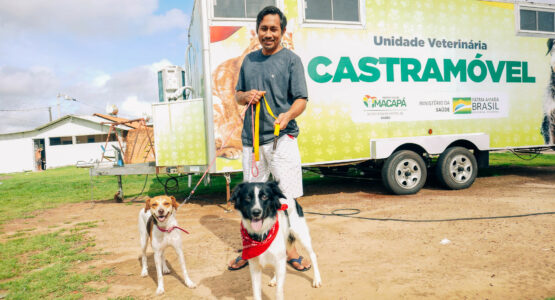Castramóvel faz cirurgias gratuitas em cães e gatos na Zona Norte
