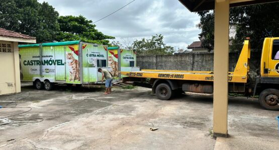 Unidades móveis do Castramóvel Itinerante iniciam cirurgias gratuitas em cães e gatos em Macapá