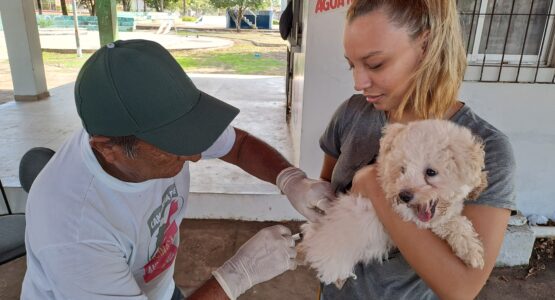 Pontos itinerantes para vacinação antirrábica no bairro Novo Horizonte têm grande adesão; atendimentos seguem até sexta, 30