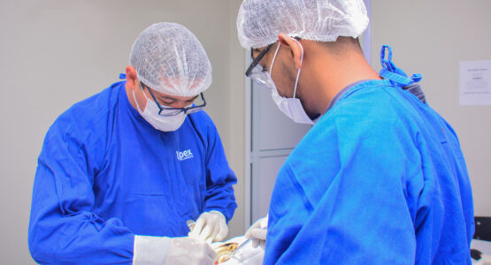 Centro Especializado em Odontologia registra mais de 6 mil atendimentos nos primeiros cinco meses deste ano