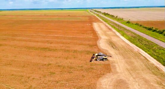Prefeitura de Macapá alcança mais de 15 mil hectares de áreas licenciadas para atividades agropecuárias