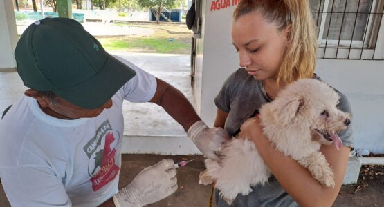 Bairro Cidade Nova é o novo ponto da Vacinação Antirrábica itinerante