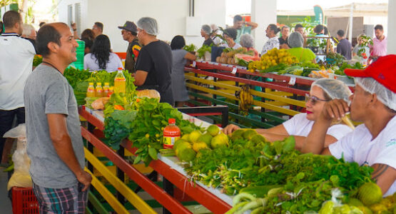 Feira Verde: Prefeitura entrega espaço para venda de produtos regionais na Fazendinha