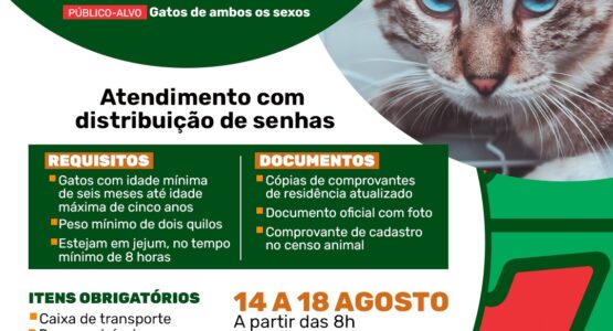 Castramóvel Itinerante da Prefeitura de Macapá atende felinos de ambos os sexos
