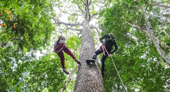 Bioparque da Amazônia oferece espaços de lazer e atividades recreativas aos visitantes