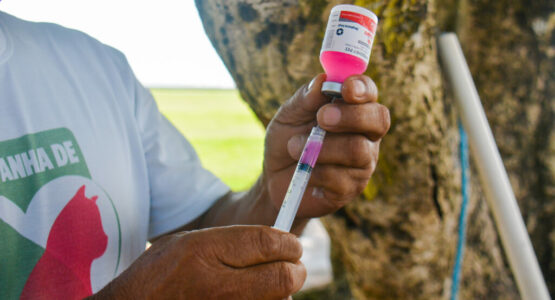 Vacinação antirrábica: Prefeitura disponibiliza dois pontos itinerantes na Zona Oeste da capital