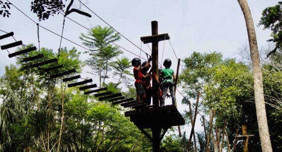 Bioparque da Amazônia oferece opções de lazer para o público no período das férias