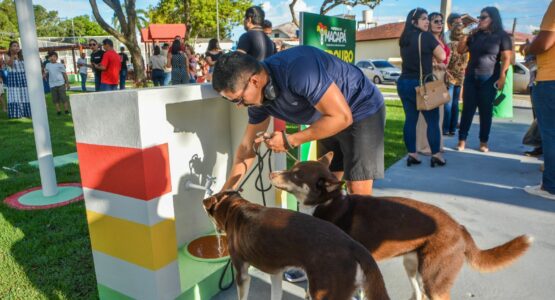 Bem-estar animal: espaços públicos contam com Bebedouro Pet