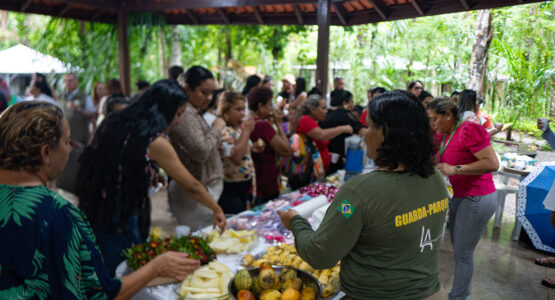 Dia Internacional da Mulher: Bioparque da Amazônia celebra a data com vasta programação