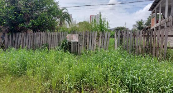 Prefeitura disponibiliza contatos para denúncias de terrenos abandonados e habitáveis com possíveis focos do mosquito da Dengue