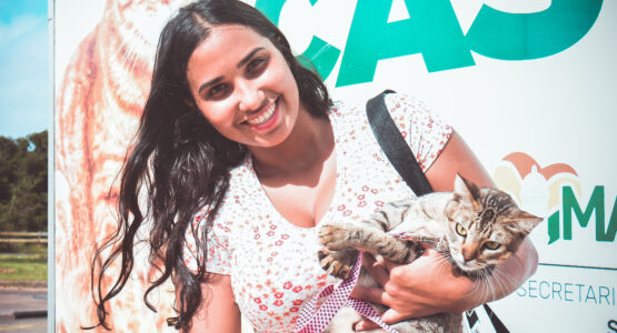 Felinos de ambos sexos são o público-alvo desta semana do Castramovel Itinerante
