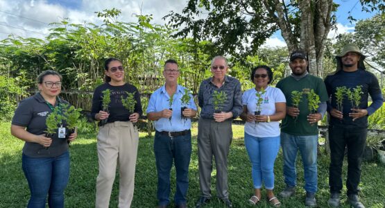 Plano de arborização: Prefeitura de Macapá recebe doação de 1.400 mudas arbóreas