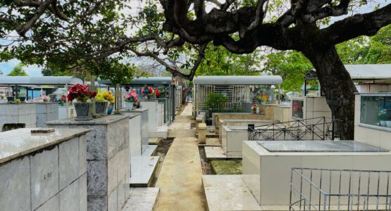 Jardim de Memórias: Prefeito Dr. Furlan entrega novo cemitério São José