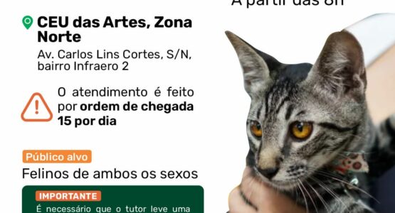 Castramóvel Itinerante atende felinos de ambos os sexos de 3 a 14 de junho